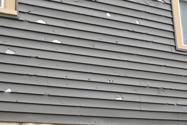 Best Vinyl Siding Installation  in Marmet, WV